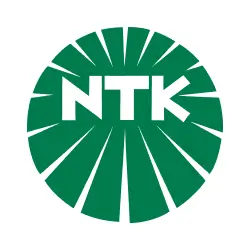 ان تی کی